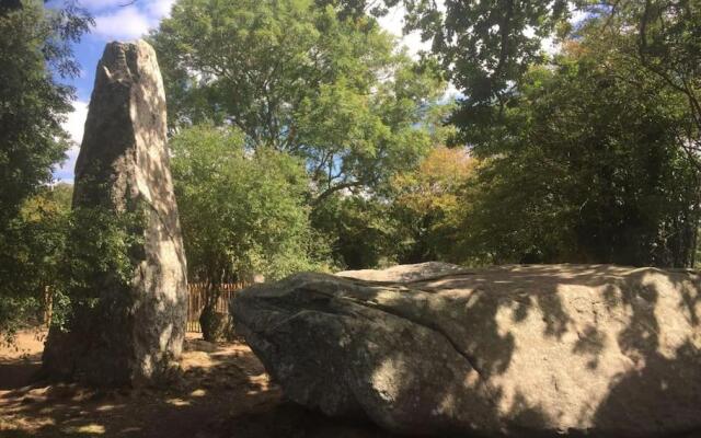 Appartement des Mégalithes - Carnac -