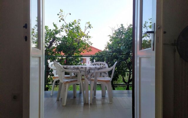 Apartments Anto