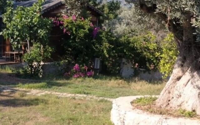 Bahar Bahçe Datça