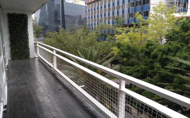 Modern Masaryk apartment 3BR in Polanco