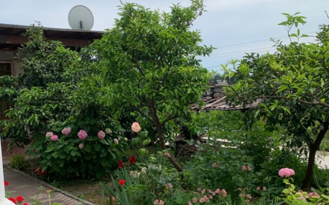 У Розы (Гагра)