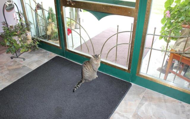 Ferienhäuser Thalbach