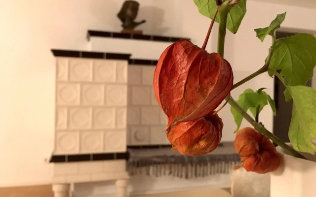 zuHause mit Berg-und BodenSeesicht