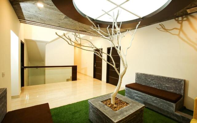 Mazus Inn