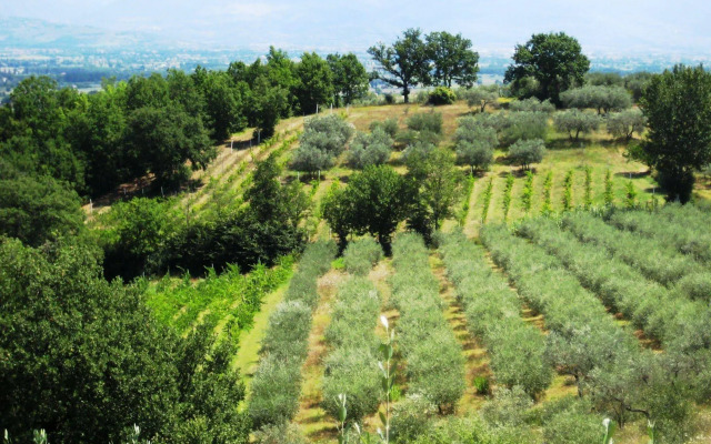 Villa Colle di Rocco