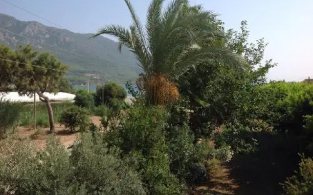 Öz Likya Pension