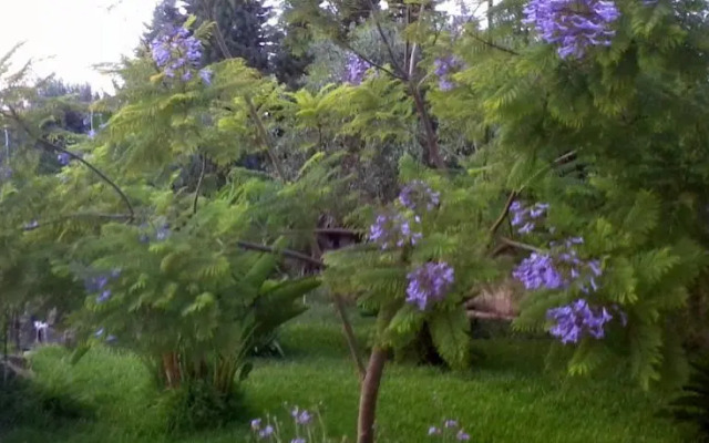 Bed and Breakfast da Stella