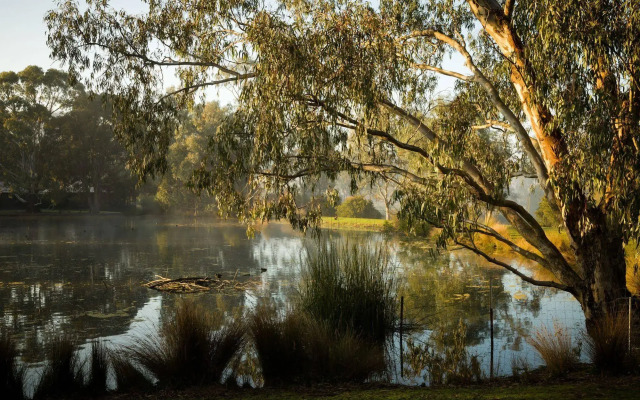 The Burrow At Wombat Bend