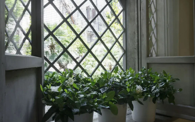 Sonder by Marriott Bonvoy Palazzo Taverna Apartments Piazza Navona