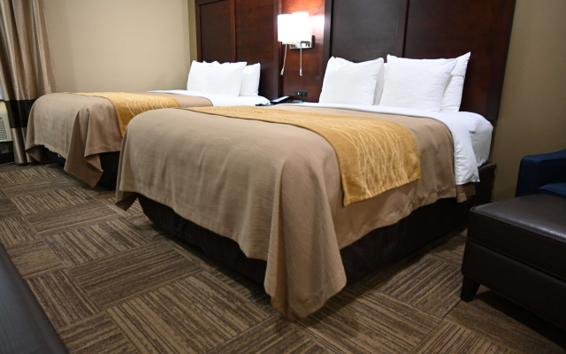 Comfort Inn Pulaski