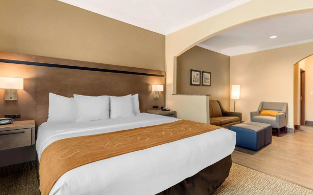 Comfort Suites Baytown I - 10