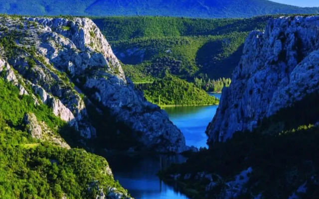 Awesome Suite With Breakfast Included