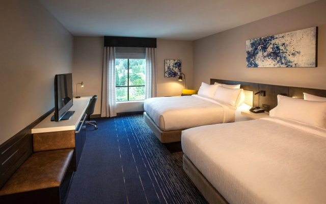 Hilton Garden Inn Redmond Seattle
