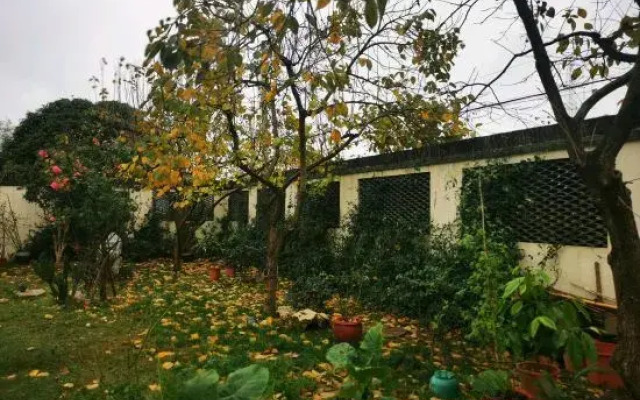Shanghai Mu She Homestay