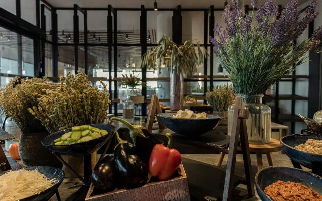 King Jason Zante – Adults Only