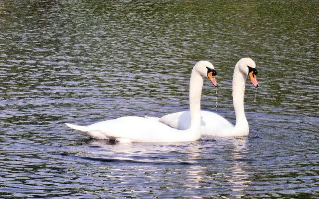 The Westminster Hotel