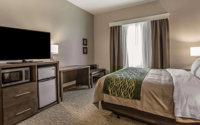 Comfort Inn & Suites Snyder