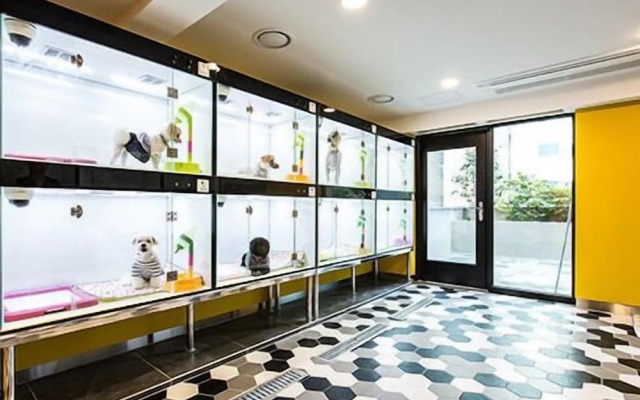 Sleep with Your Own Pet Only - The Petel