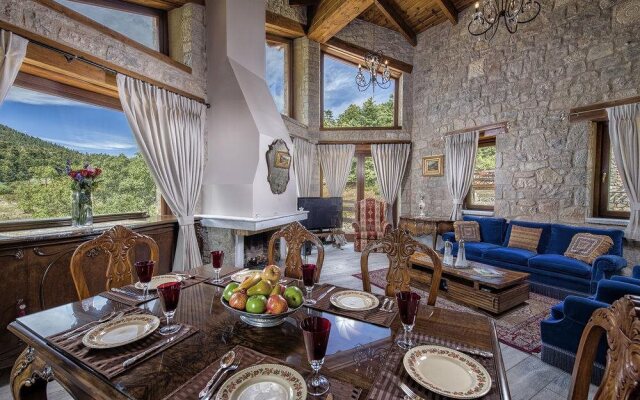 ViP Chalet Livadi Arachova