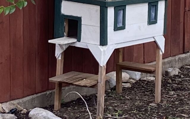 Bryn Oaks Bed and Breakfast