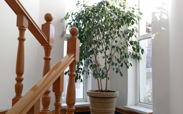 Guest House Viktoria