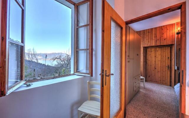 Il Vigneto Sul Lago Vineyard Lake View