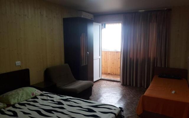Guest house on Gagarina 10