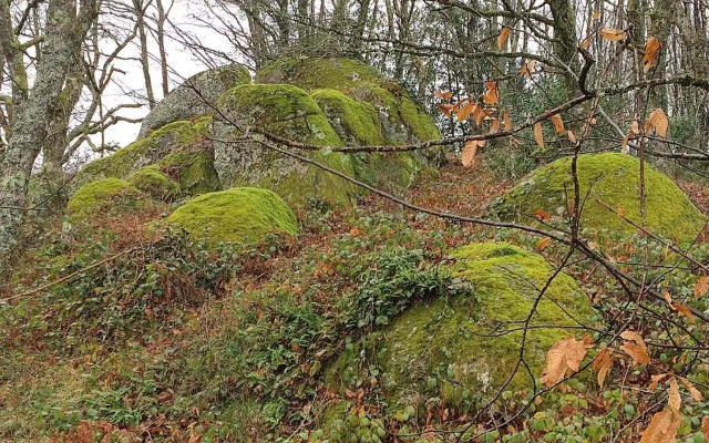 B and B Sycomore, La Bouriotte