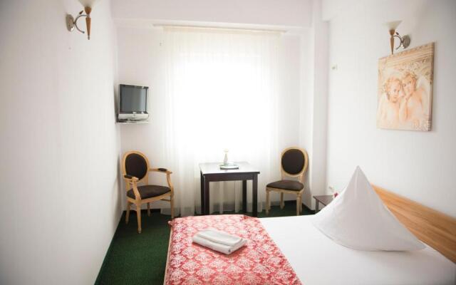 Arta Hotel Timisoara