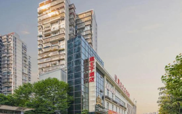 Black Prince Art Hotel (Luzhou Longmatan District Government Store)