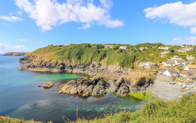 Spinnaker, Cadgwith