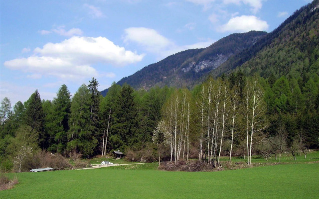 Parkhotel Bellevue