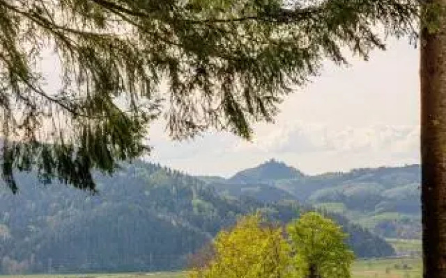 Zum Pflug Landgasthof Hotel