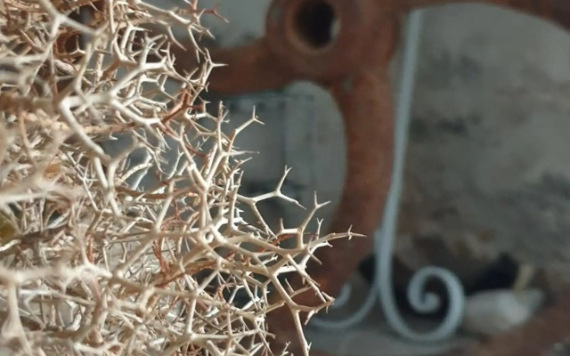 Traditional seafront apartment