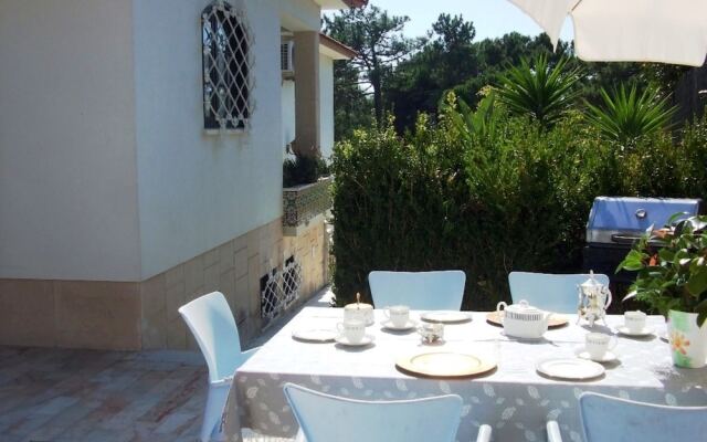 102918 - Villa in Colares