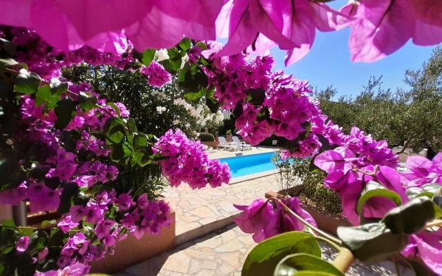 Apartments Lara & Luka