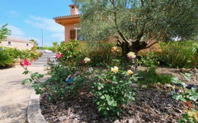 Es Viola - Xabola-1262/2014