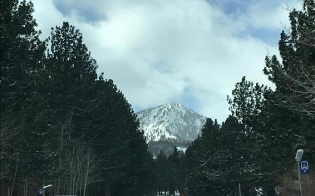 Mountainback #56, Loft