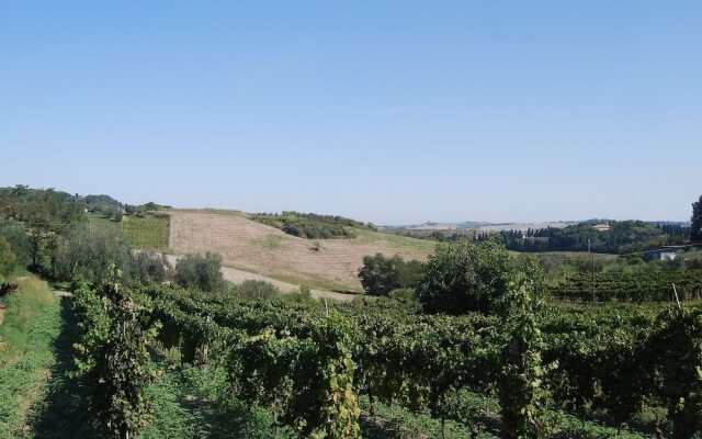 Modern Holiday Home in Rosignano Marittimo Near Forest