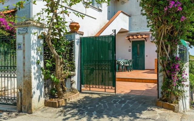 Friendly Family Apartment at Ischia