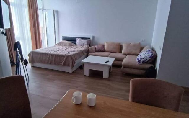 Batumi Apartment, DS group, 25th floor, sea view