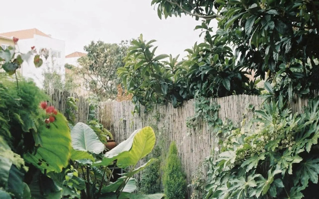 Apartment with Private Garden