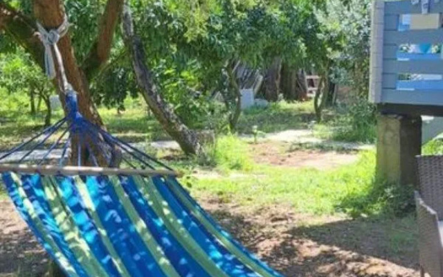 Мария (Агудзера)