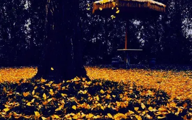 Wudang Chuxing homestay