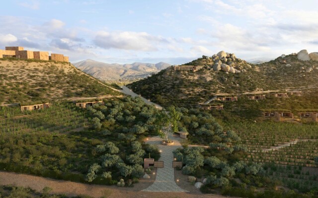 Banyan Tree Veya Valle De Guadalupe