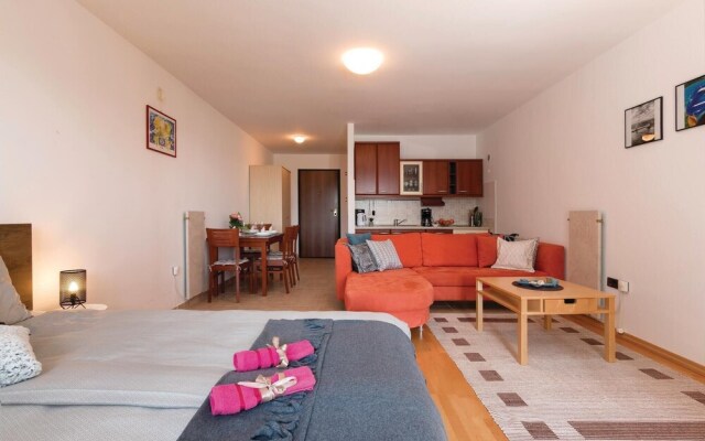 Nice Apartment in Liznjan With Wifi