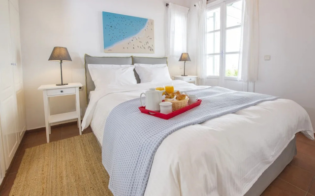 Mykonos Psarrou villa for 18 persons by VillaRentalsgr