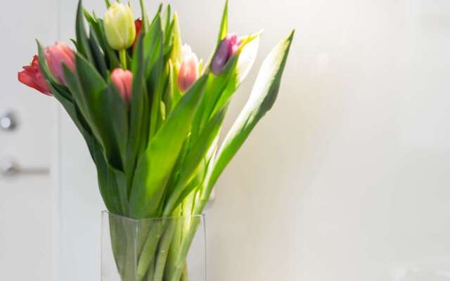 Biz Apartment Hammarby Sjostad