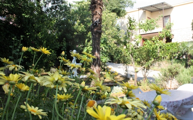 Apartment Verica A1 Crikvenica, Riviera Crikvenica