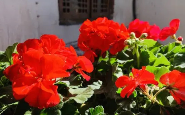 Floral Hotel·Yunjing Zhinan Hotel(Dayan Gucheng dashuiche store)